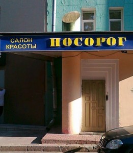 Студия Носорог